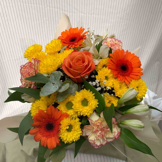 BOUQUET BULLE - PYLEA
