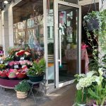 Jour de Roses - Narbonne Centre ville