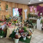 Jour de Roses - Narbonne Centre ville