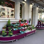 Jour de Roses - Narbonne Centre ville