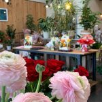 Jour de Roses - Espace Lacoste Narbonne