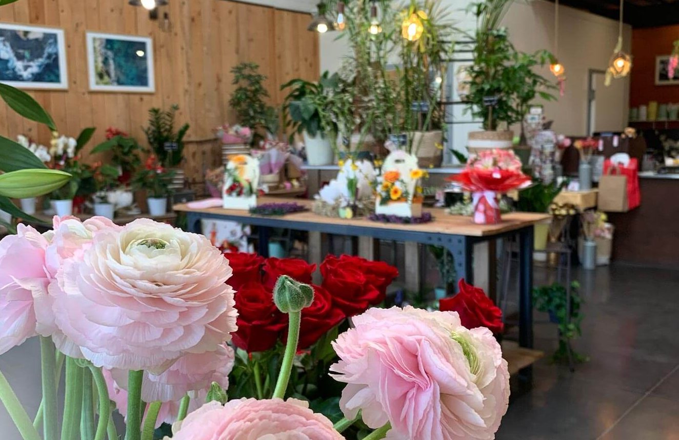 Jour de Roses - Espace Lacoste Narbonne Jour de Roses - Espace Lacoste Narbonne