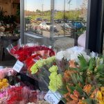 Jour de Roses - Espace Lacoste Narbonne
